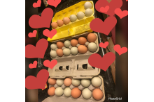 Egg season c2f915ac-4d55-42a3-9f66-92ca925bda55.jpeg