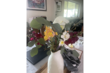 Week 5: April 2, 2025 screenshot_2025-04-02_at_3.11.49_pm.png