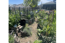 Garden 4-7-2025 screenshot_2025-04-07_at_2.13.44_pm.png