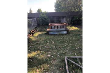 The first garden boxes 2016