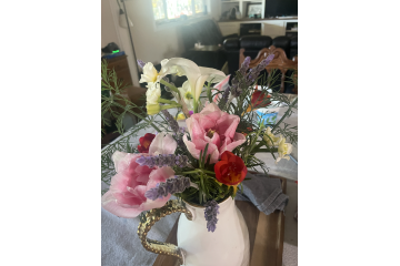 Week 4: March 26, 2025